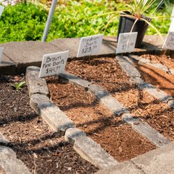 Salazar's Nursery & Landscape Supplies