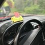 Photo of Halma Detailing