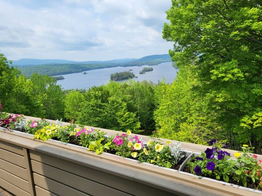 Adirondack Experience, The Museum on Blue Mountain Lake by null