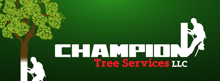 Champion Tree Service - tree service in Brandon, SD