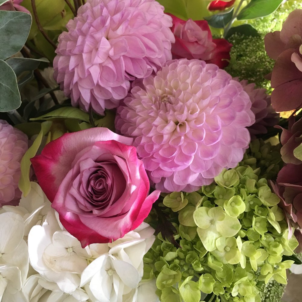 Seasons Florist - Florists Near Me - Aliso Viejo, California Seasons Florist - Florists Near Me - Aliso Viejo, California