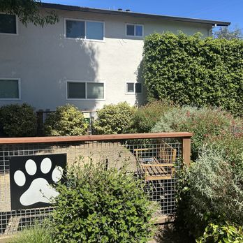 Edge At Howarth Park - Seating in the enclosed dog area - Apartments Near Me - Santa Rosa, California