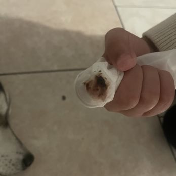 Petco - all this came out of my dogs ears - Pet Stores Near Me - El Cajon, California Petco - all this came out of my dogs ears - Pet Stores Near Me - El Cajon, California