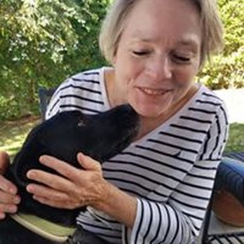 Nado Pet Care - Pet Sitting Near Me - Coronado, California Nado Pet Care - Pet Sitting Near Me - Coronado, California