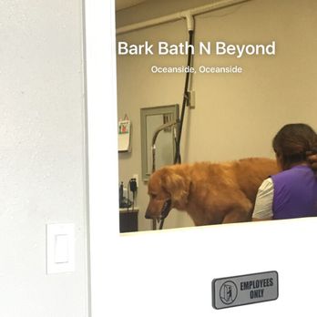 Bark Bath N' Beyond - Pet Groomers Near Me - Oceanside, California