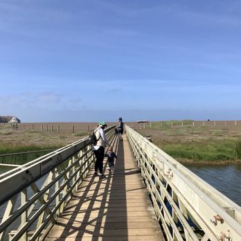 Rodeo Beach - Walking down to the beach - Beaches Near Me - Sausalito, California