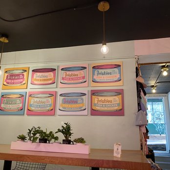 NEKO: A Cat Cafe - Themed Cafes Near Me - Seattle, Washington