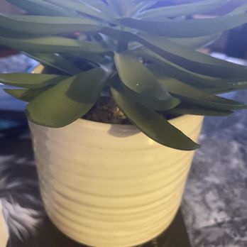 Starbucks - plant because i like plants - Coffee & Tea Near Me - Hackettstown, New Jersey