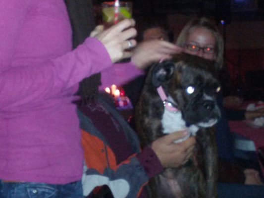 The Skylark Lounge by null