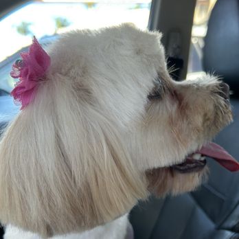 The Pet Wash - Pet Groomers Near Me - El Segundo, California The Pet Wash - Pet Groomers Near Me - El Segundo, California