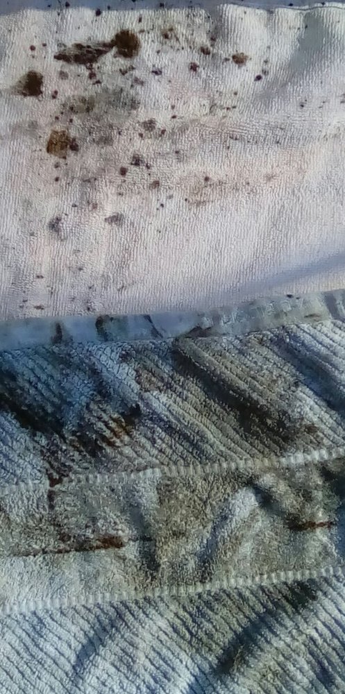 Slide of Roto-Rooter