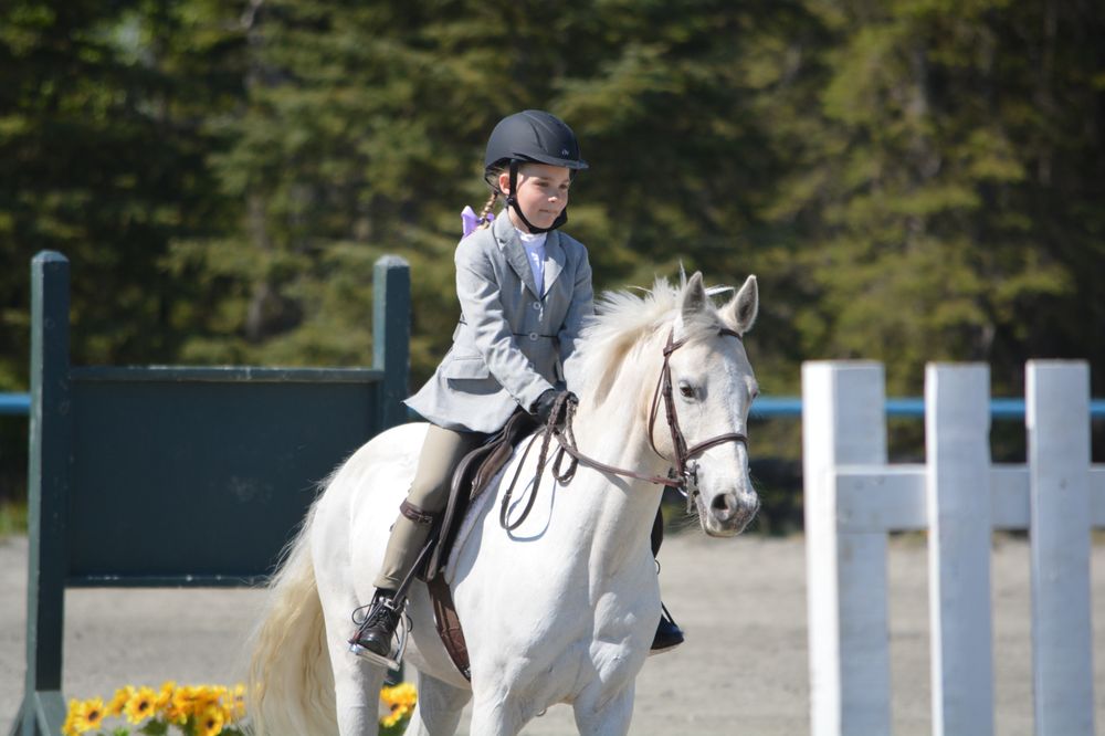 OLDONYO EQUESTRIAN Updated June 2024 17 Photos 22218 Yarnot Ave