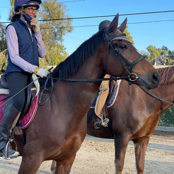 Lincourt Stables - Friendly atmosphere - Horseback Riding Near Me - Los Angeles, California Lincourt Stables - Friendly atmosphere - Horseback Riding Near Me - Los Angeles, California