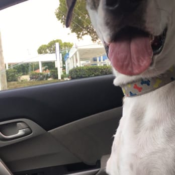 PetSmart - My tripod clean and happy as ever! - Pet Groomers Near Me - Lauderhill, Florida PetSmart - My tripod clean and happy as ever! - Pet Groomers Near Me - Lauderhill, Florida
