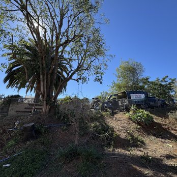 Pena Tree Service - Tree Services Near Me
