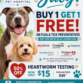 Oasis Pet Hospital - Veterinarians Near Me - Rancho Cucamonga, California Oasis Pet Hospital - Veterinarians Near Me - Rancho Cucamonga, California