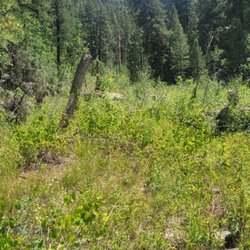 Sandys Canyon Trail
