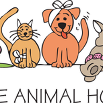 AdelaideVet Trinity Gardens - Pet Training Near Me - Trinity Gardens, SA