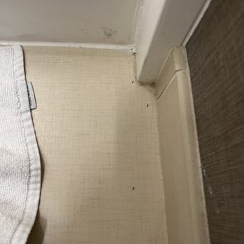 SpringHill Suites by Marriott Newark Fremont - Ants Room 1 - Hotels Near Me - Newark, California SpringHill Suites by Marriott Newark Fremont - Ants Room 1 - Hotels Near Me - Newark, California