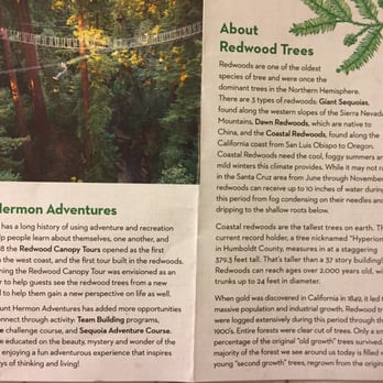 Mount Hermon Adventures - More info about the redwood forest and the tour - Challenge Courses Near Me - Mount Hermon, California