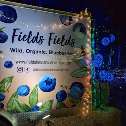 Fields Fields Blueberries
