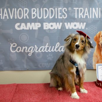 Camp Bow Wow - Pet Groomers Near Me - Oak Ridge North, Texas