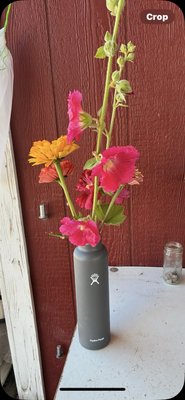 Well Rooted Farms by null