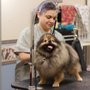 Photo of Vet Stop Animal Hospital