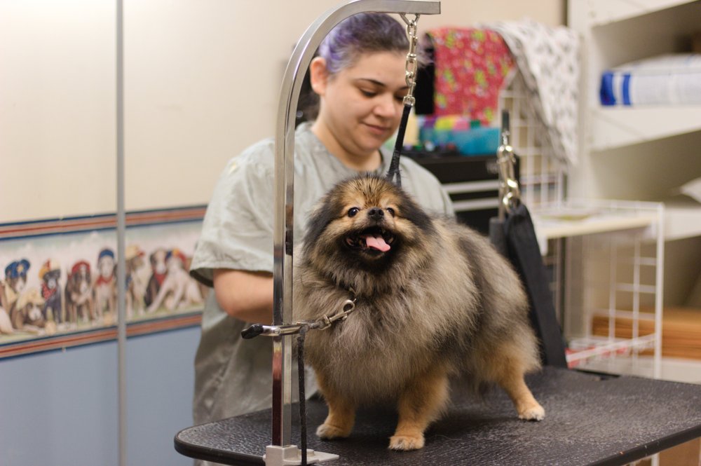 Vet Stop Animal Hospital - pet boarding facility in Saint Peters, MO