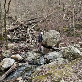 Lake Catherine State Park - We outchea - Hiking Near Me - Hot Springs, Arkansas Lake Catherine State Park - We outchea - Hiking Near Me - Hot Springs, Arkansas