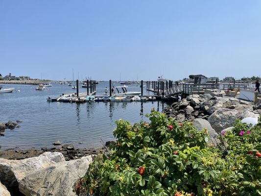 Rye Harbor Lobster Pound by null