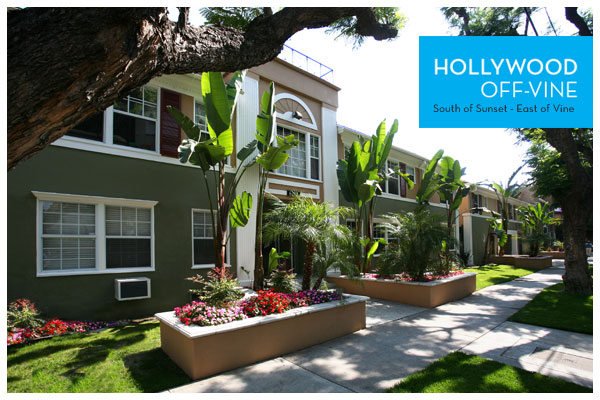 Hollywood Off Vine (Hov) by null