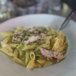 Uccello's - Downtown - Alfredo with chicken and gluten free penne pasta