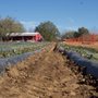 Photo of Reagan Family Farm