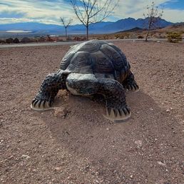 Tortoise statue
