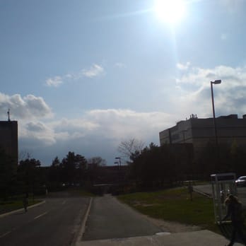 Carleton University - Colleges & Universities Near Me - Ottawa, Ontario Carleton University - Colleges & Universities Near Me - Ottawa, Ontario