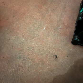 Zona De Cuba - Carpet stains and debris throughout the entire room - Cuban Near Me - Bronx, New York Zona De Cuba - Carpet stains and debris throughout the entire room - Cuban Near Me - Bronx, New York