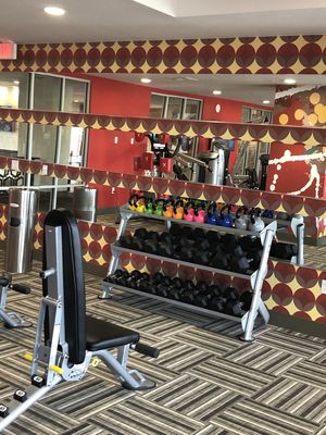 Green Leaf Lotus by null