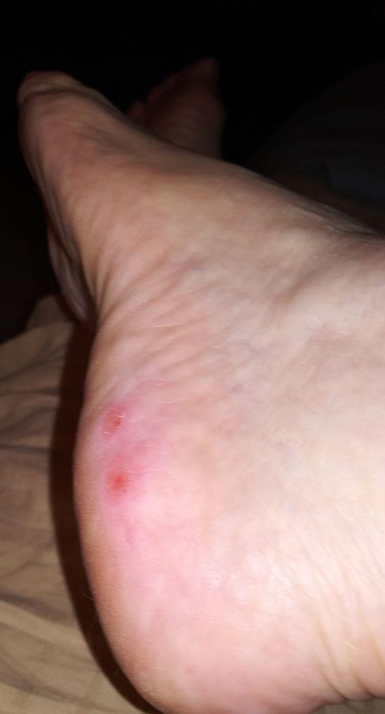 JQ NAIL SPA Updated September 2024 19 Reviews 18977 US Hwy 441