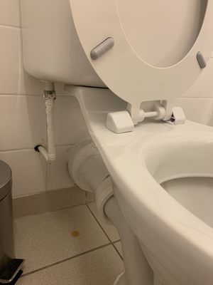 Royal National Hotel by null