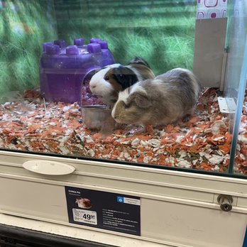 PetSmart - Pet Stores Near Me - Skokie, Illinois
