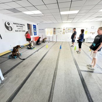 Pawsitive Connection Dog Training - Pet Training Near Me - Kingman, Arizona
