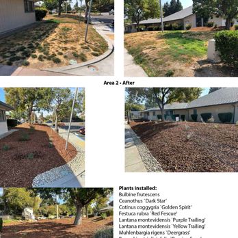 Dooling Landscape Service - before and after - Landscaping Near Me - San Jose, California Dooling Landscape Service - before and after - Landscaping Near Me - San Jose, California