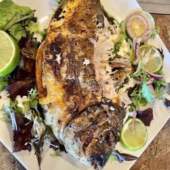 Papa K's Mediterranean Kitchen - Grilled fish - Mediterranean Near Me - Santa Ana, California Papa K's Mediterranean Kitchen - Grilled fish - Mediterranean Near Me - Santa Ana, California