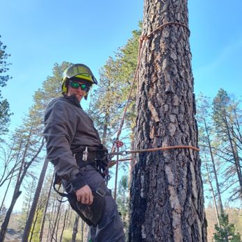 Clearcut Tree Service - Tree Services Near Me