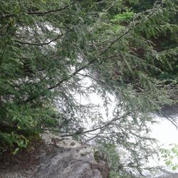 Muddy Creek Waterfall
