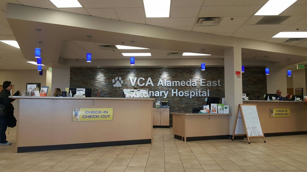 alameda vet hospital
