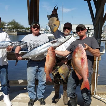 Pipe Dream Charters - Great Blue Water Trip 2/29/26 Wahoo, Mutton Snapper, Mangrove, Trigger Queen and limit on Gray Triggers - Boating Near Me - Fernandina Beach, Florida Pipe Dream Charters - Great Blue Water Trip 2/29/26 Wahoo, Mutton Snapper, Mangrove, Trigger Queen and limit on Gray Triggers - Boating Near Me - Fernandina Beach, Florida