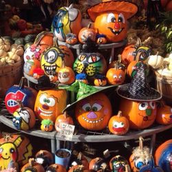 Angel Jardins - October 2017- Pumpkins oh my !