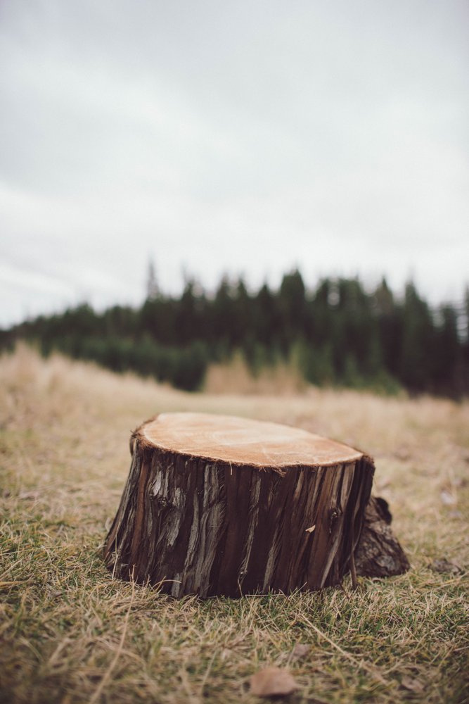 THE HEARTWOOD MILL Updated October 2024 156 Photos 11251 180